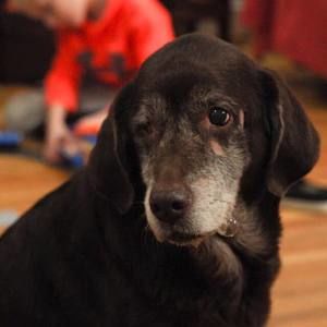 Meet your Posher, Lindsey